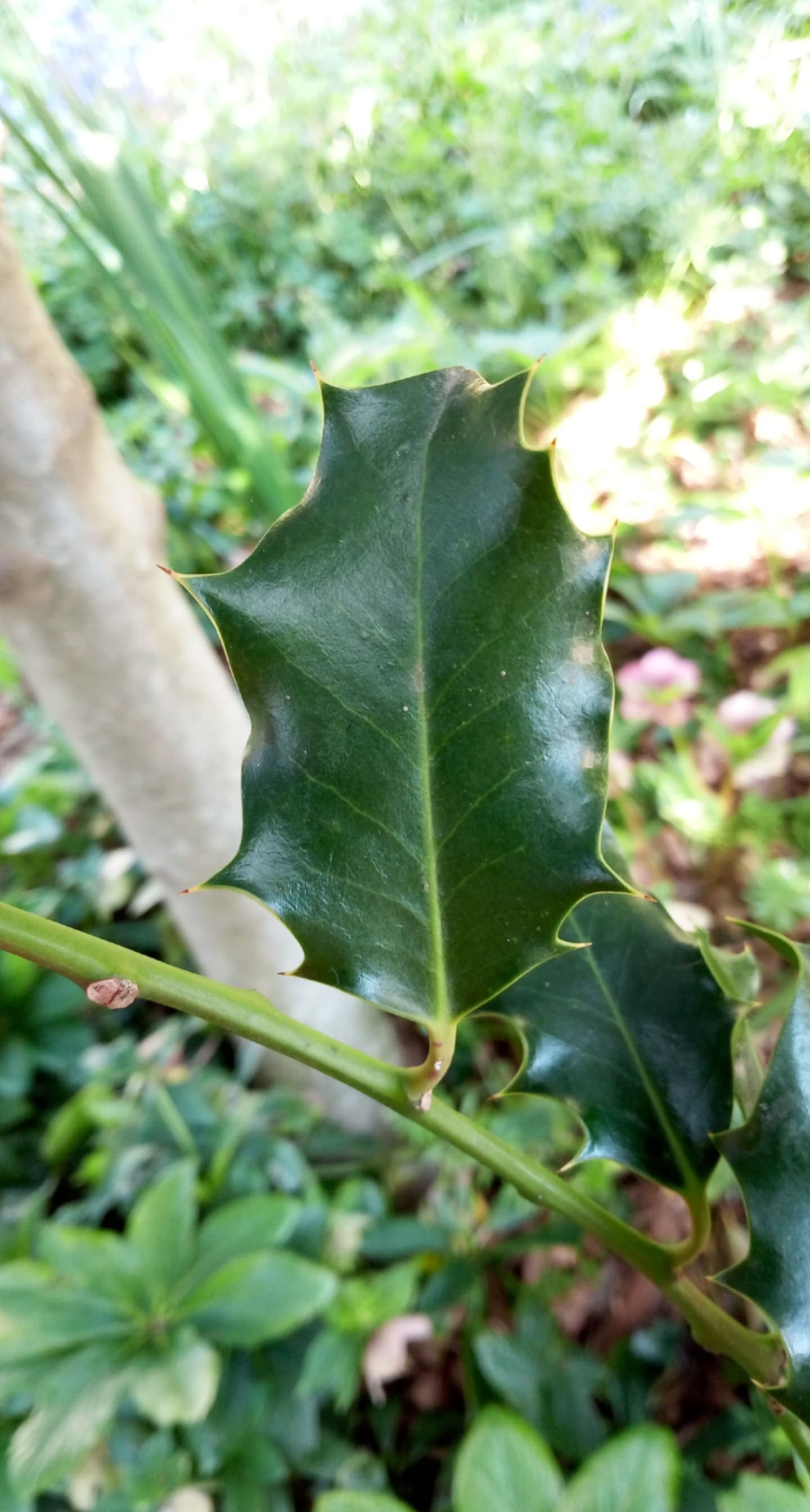 Annexe 91114374_212317053202512_7414447668522385408_n.jpg