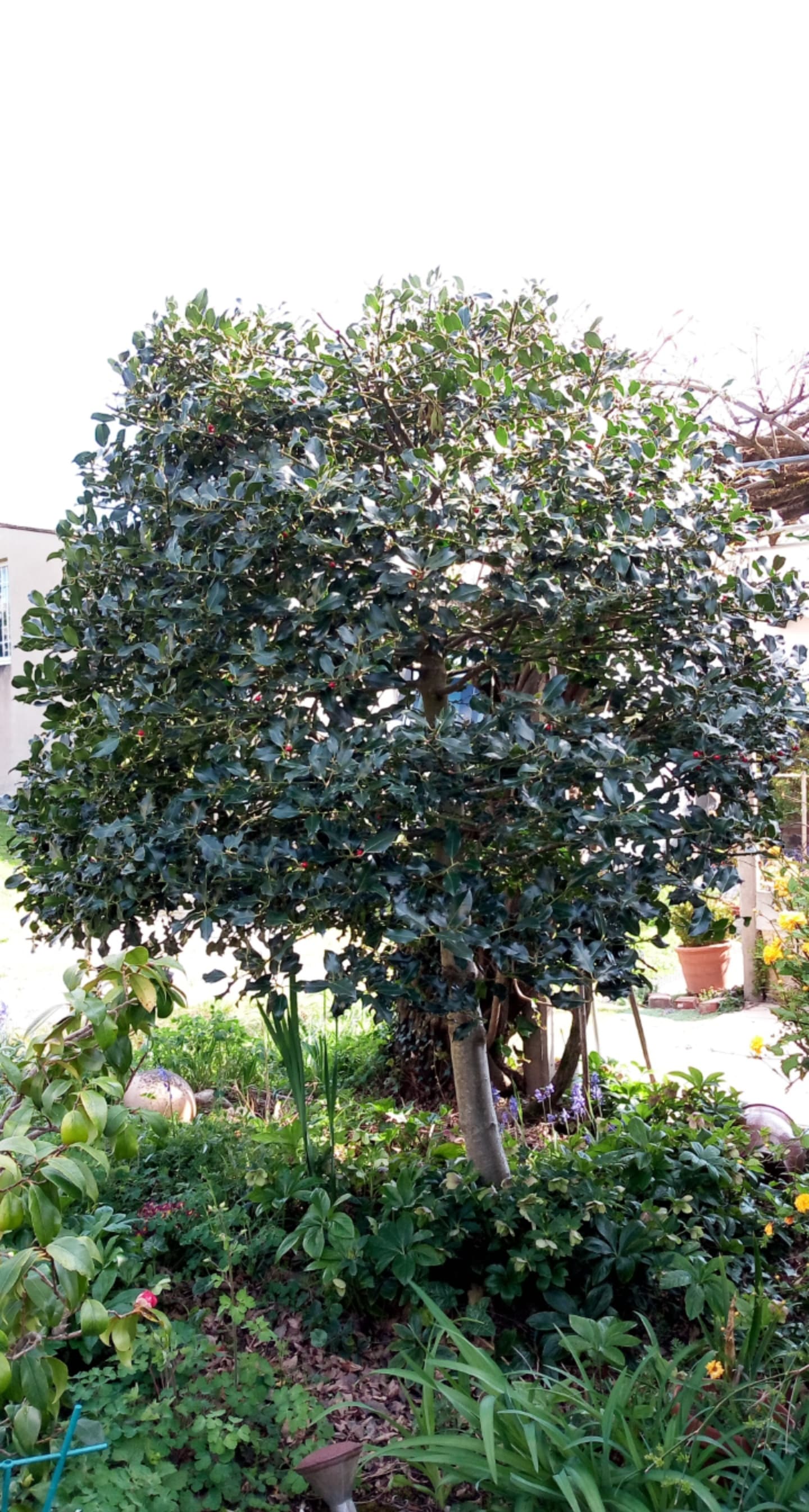 Annexe 91624718_208222533804603_1042977926741491712_n.jpg