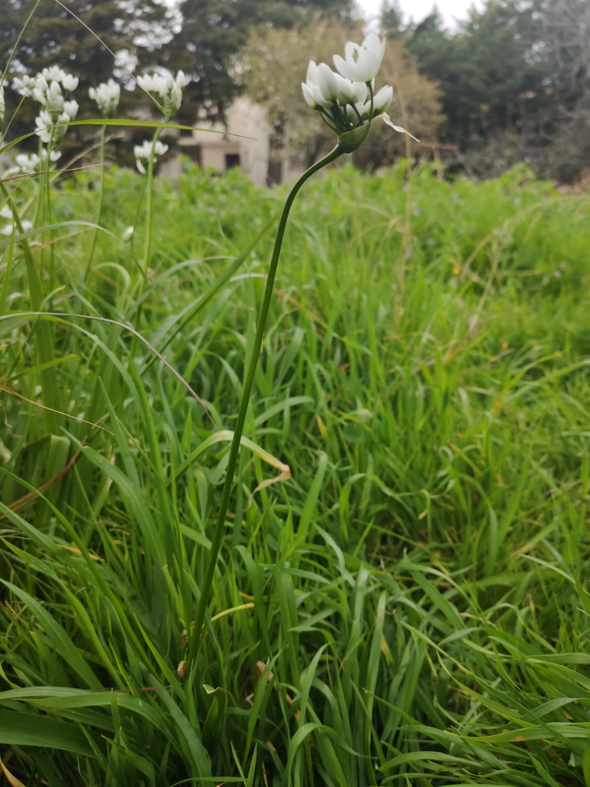 Annexe WhatsApp Image 2020-03-31 at 17.53.04(1).jpeg