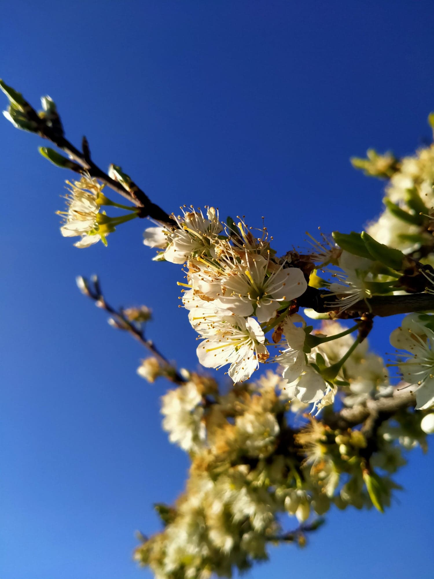 Annexe 91409217_806880643167094_4362099709305683968_n.jpg