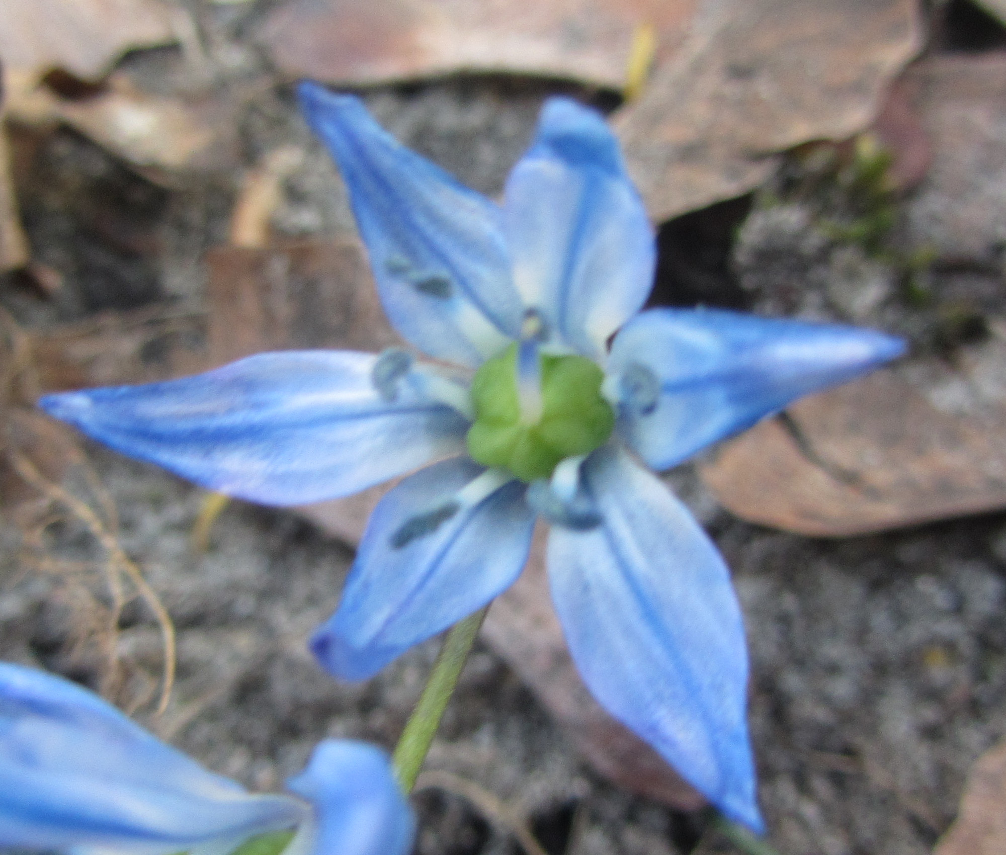 Annexe IMG_2897-2.JPG