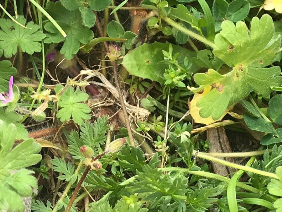 Annexe AB97AB53-4C43-4E8A-AE70-D4D3CE6D4B9E.jpeg