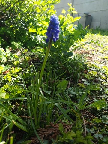 Annexe 91465801_533109400915213_315820576046317568_n.jpg