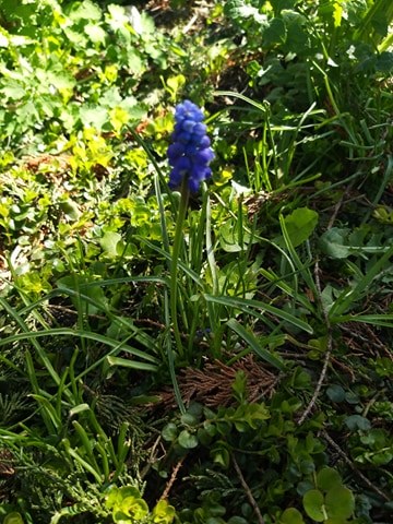 Annexe 91519626_1260375084166335_1127480205699448832_n.jpg