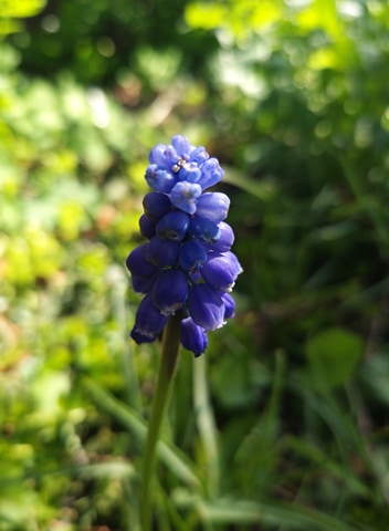 Annexe 91748594_911906805934320_6894854069924397056_n.jpg