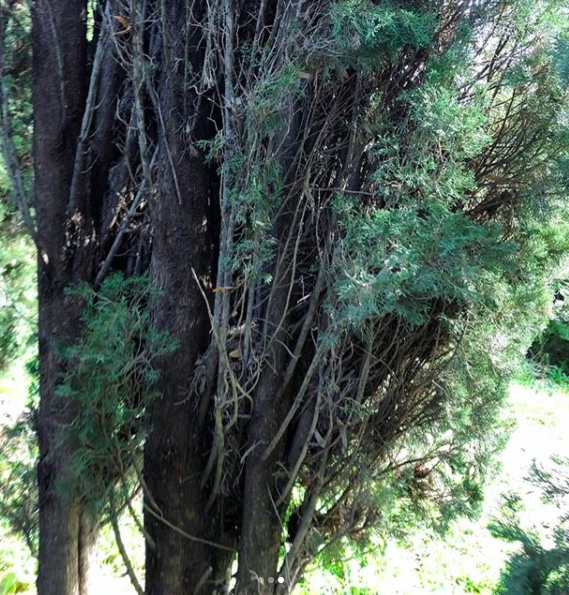 Annexe Sans titre.jpeg