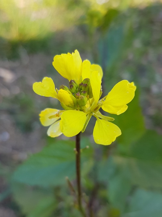 Annexe CDCF4D58-364A-4B6E-B425-A585EBFEF978.jpeg