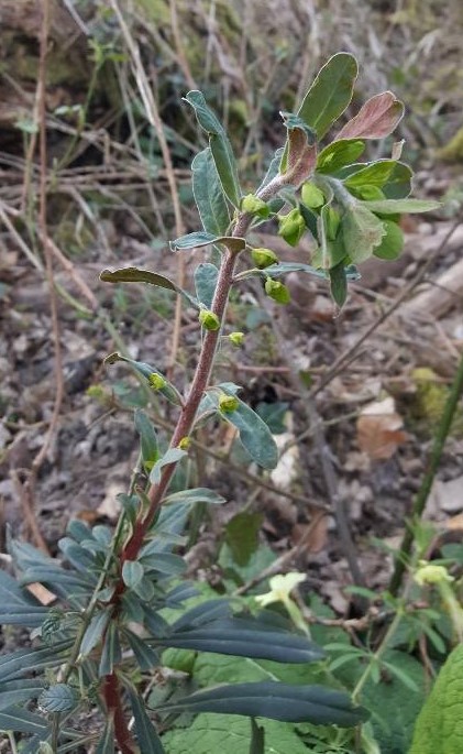 Annexe 1585070060332.JPEG