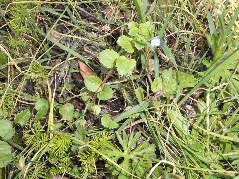 Annexe Paparazzi_1.JPG