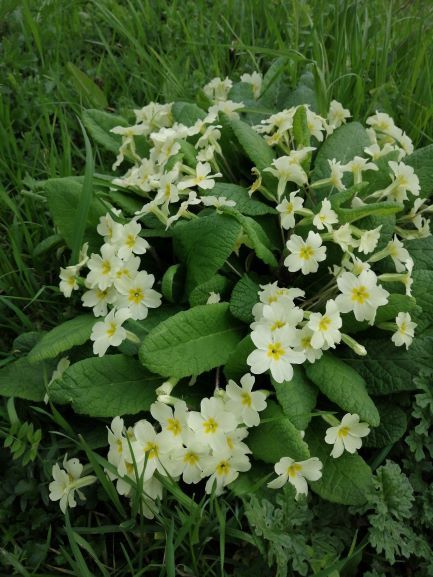 Annexe image-4f9a5b6b-a0ac-4ea0-a0bb-f548f15bdc8471821686494875505505.jpg