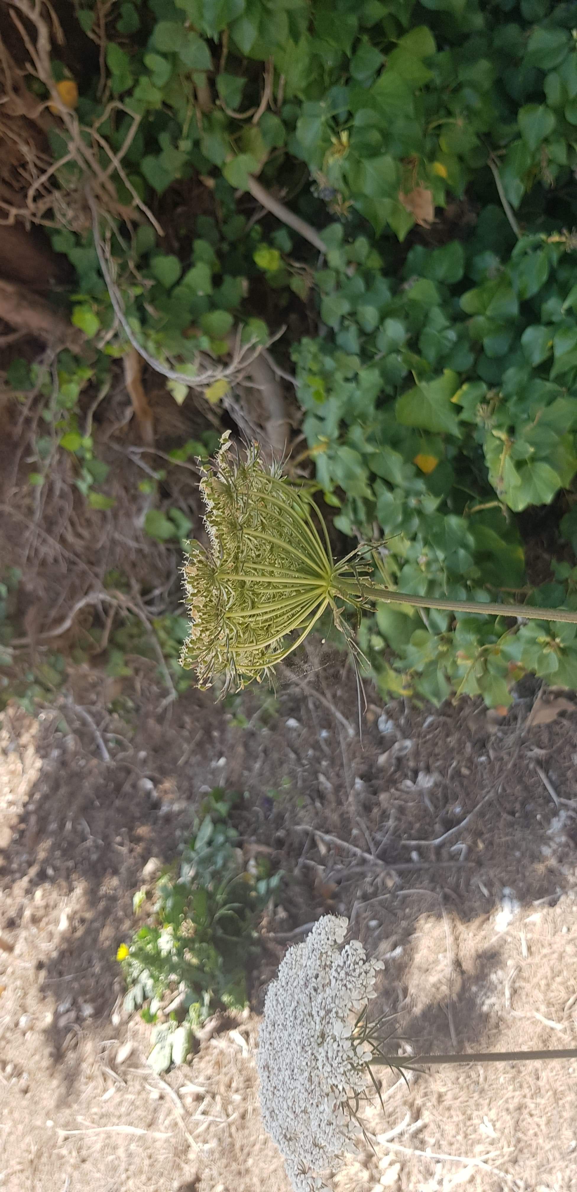 Annexe received_2453804731599023.jpeg