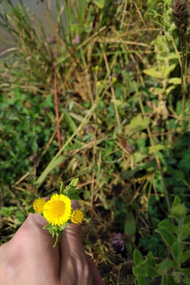 Annexe 92080471_222542302151723_3423667686050103296_n.jpg