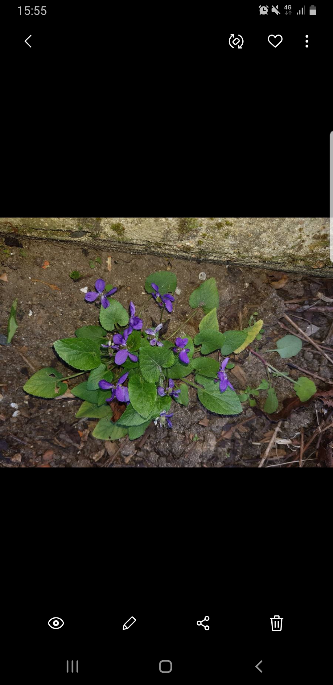 Annexe Screenshot_20200401-155544_Gallery.jpg