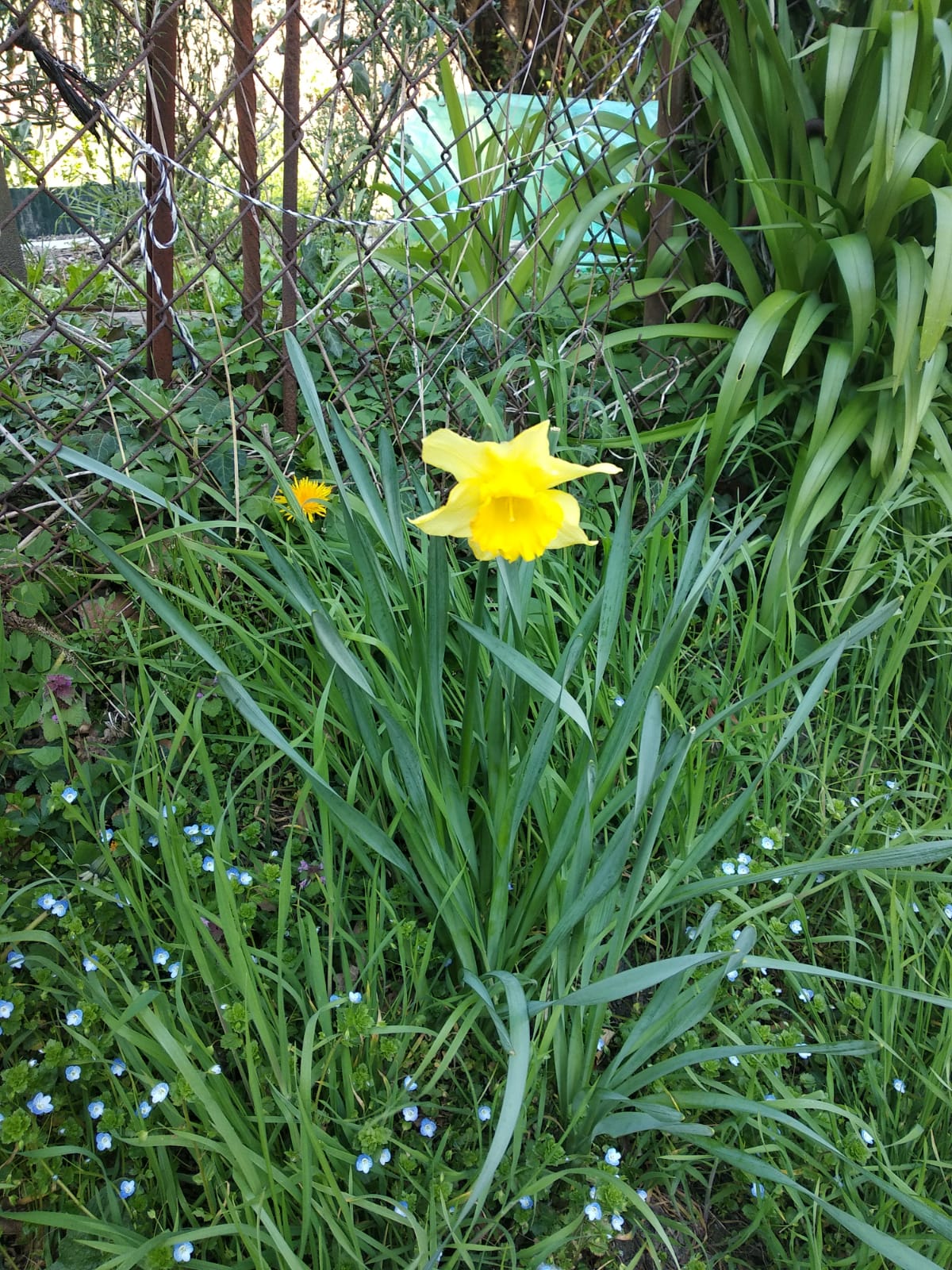 Annexe Ensemble.jpeg