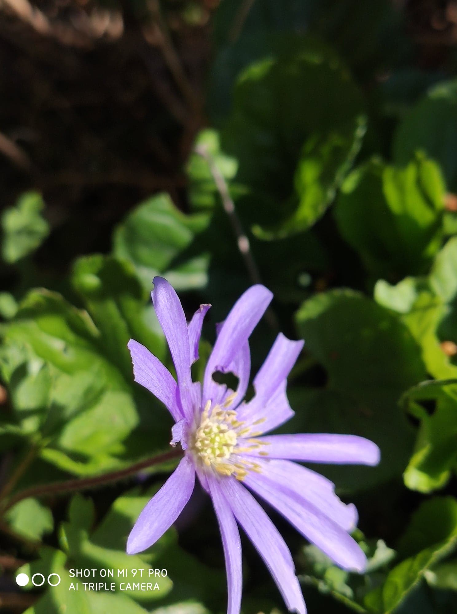 Annexe 91428752_2886474098110295_4215108933250973696_n.jpg