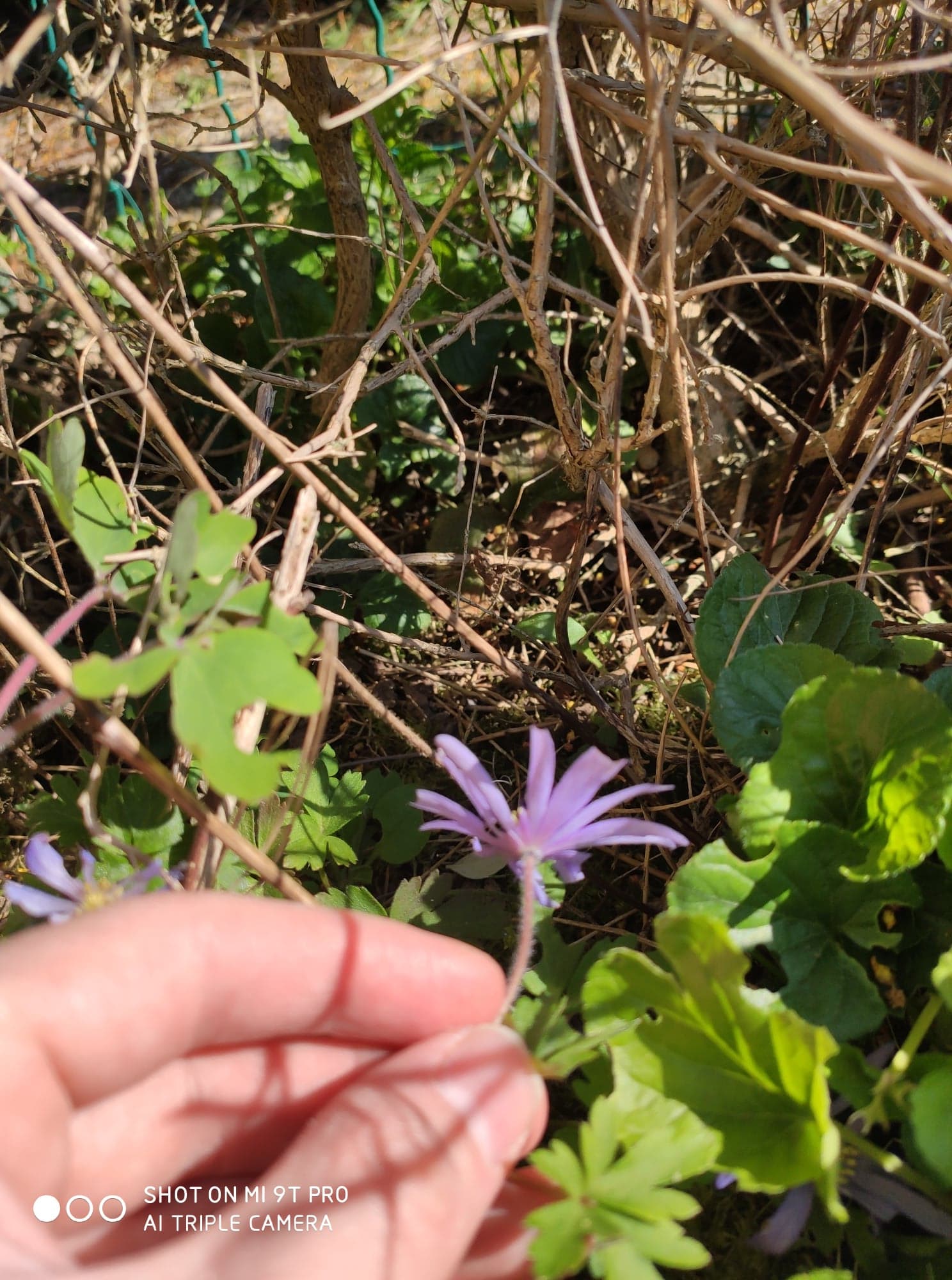 Annexe 92012166_850242175494612_601801561860997120_n.jpg