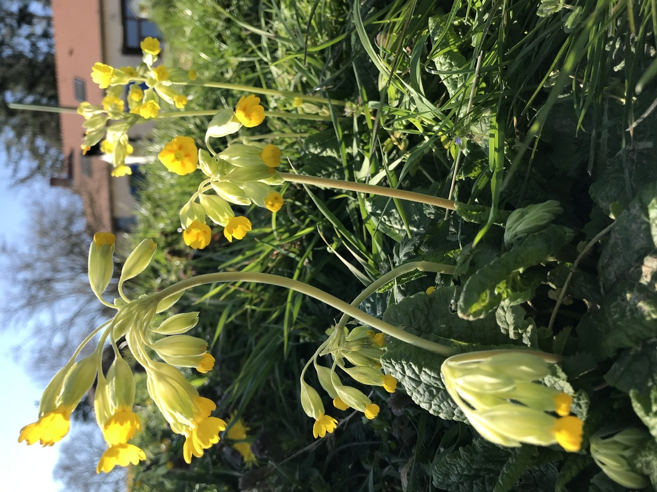 Annexe 7A8EF44B-EC13-4443-9D5F-04BF5DB96992.jpeg