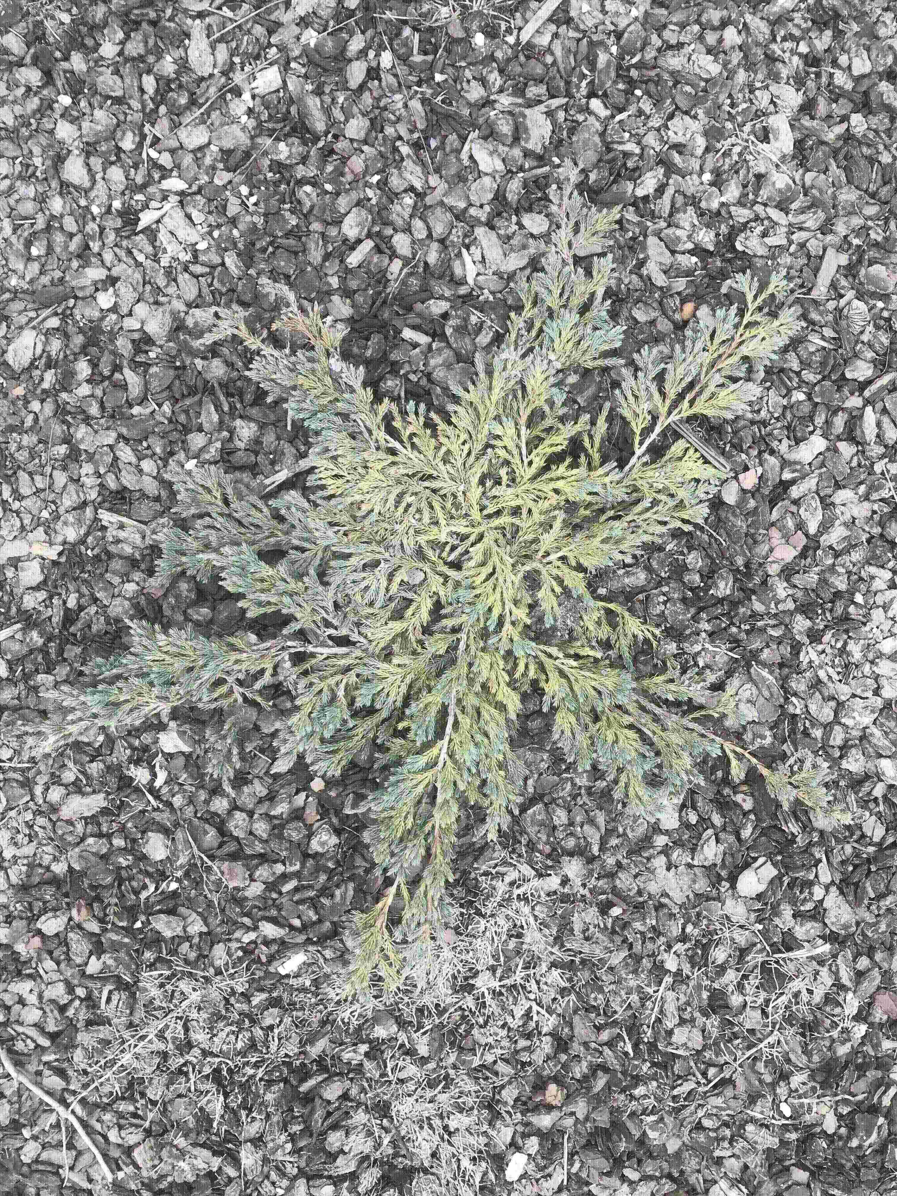 Annexe IMG_8120 (1).jpg