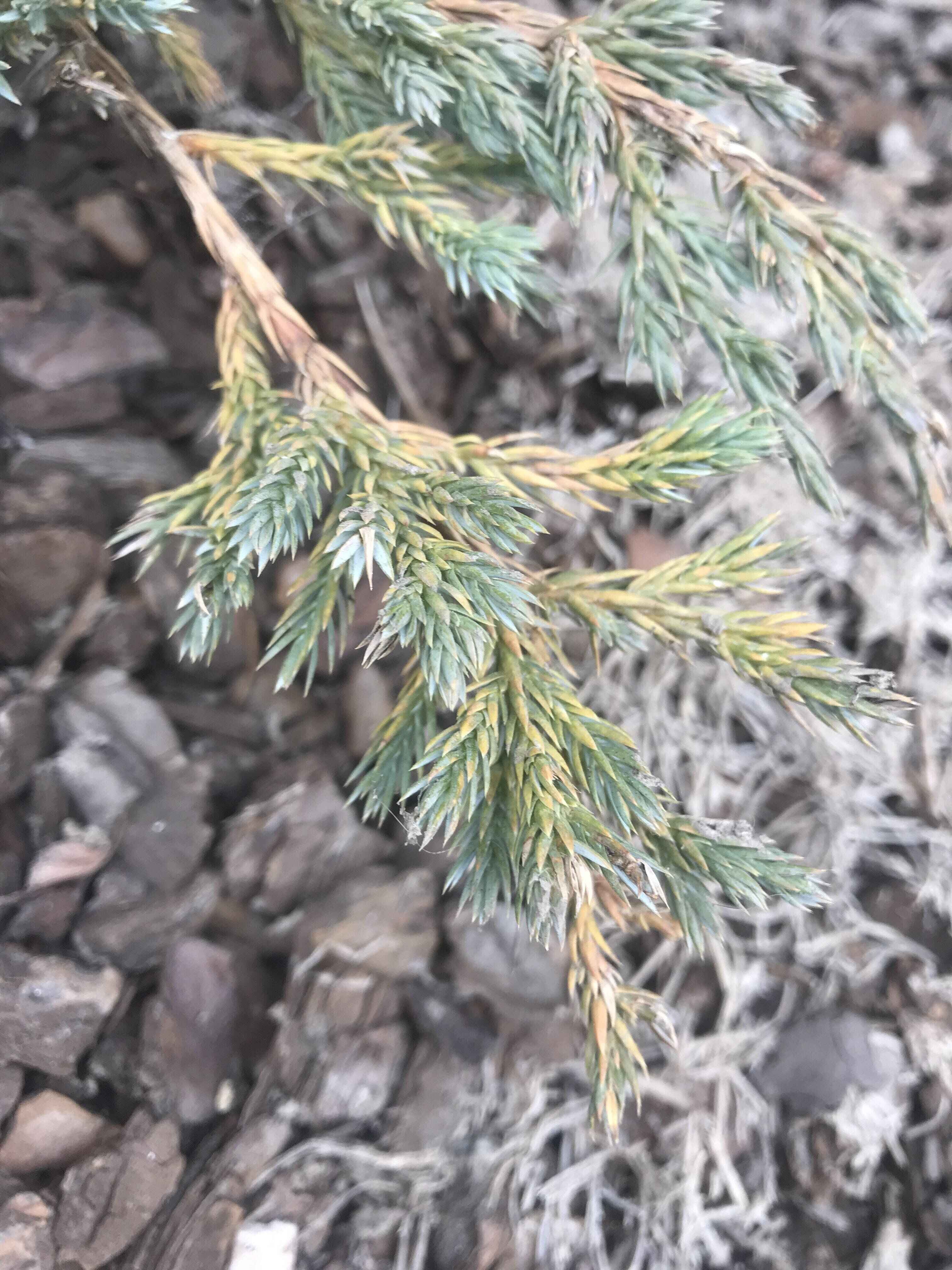 Annexe IMG_8121 (1).jpg