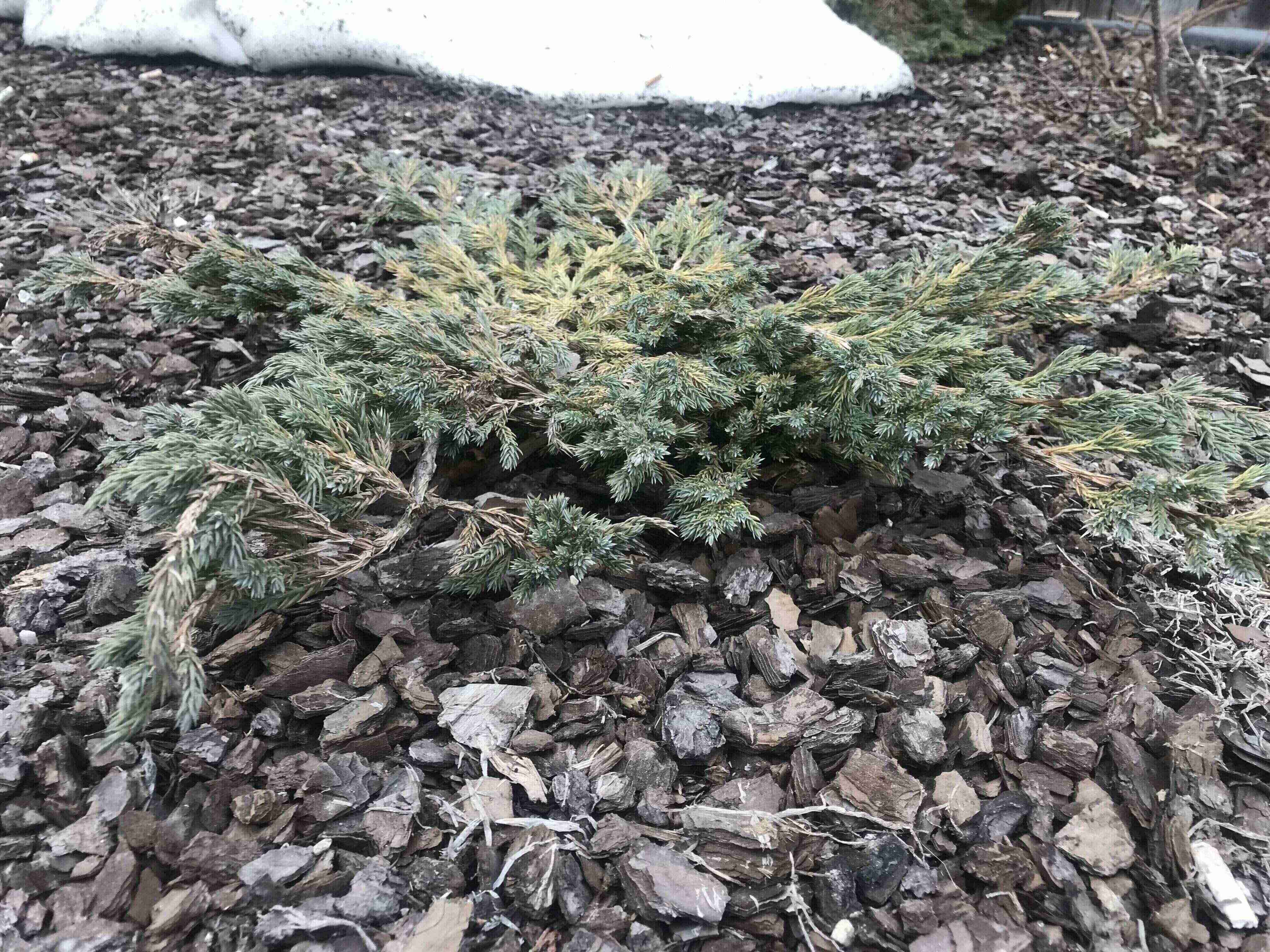 Annexe IMG_8125 (1).jpg