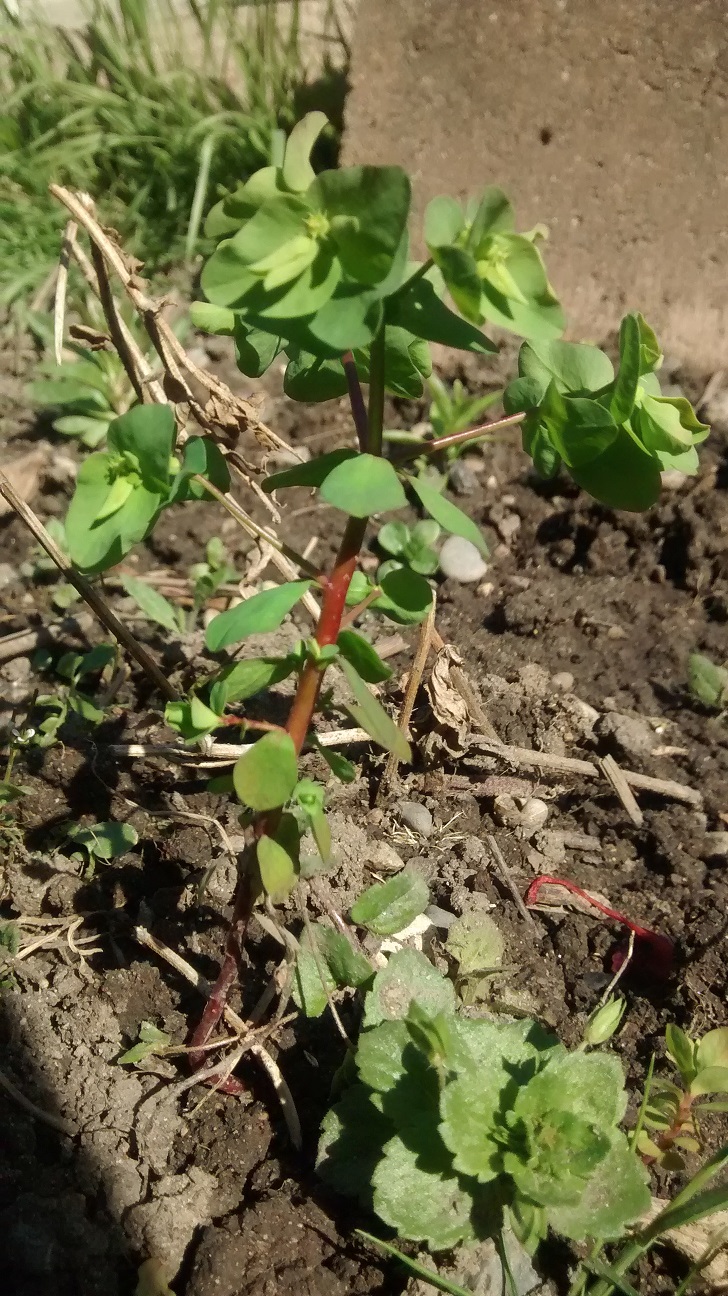 Annexe inconnue1.jpg