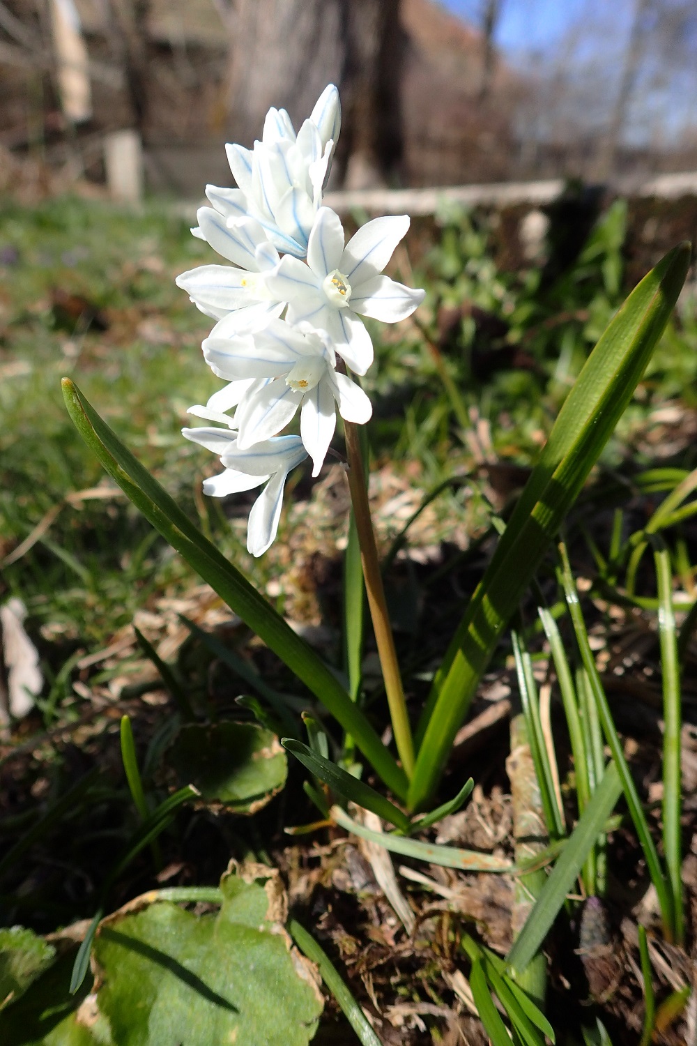 Annexe P4011324bd.JPG