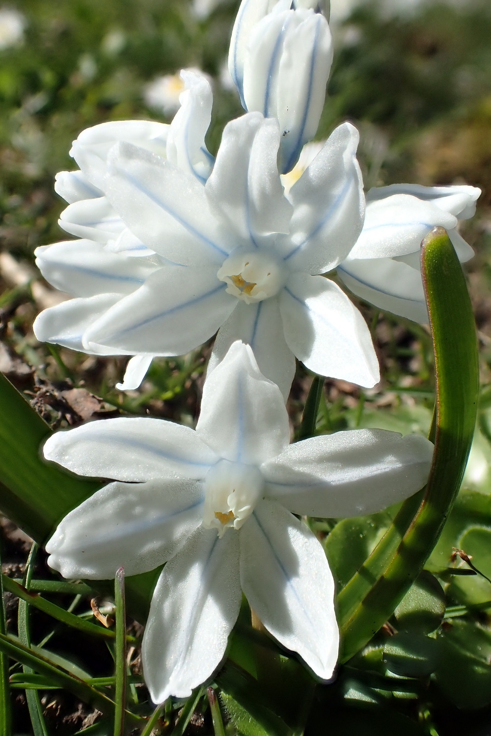 Annexe P4011329bd.jpg