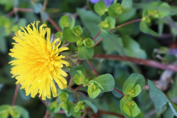 Annexe OK IMG_2765.jpg