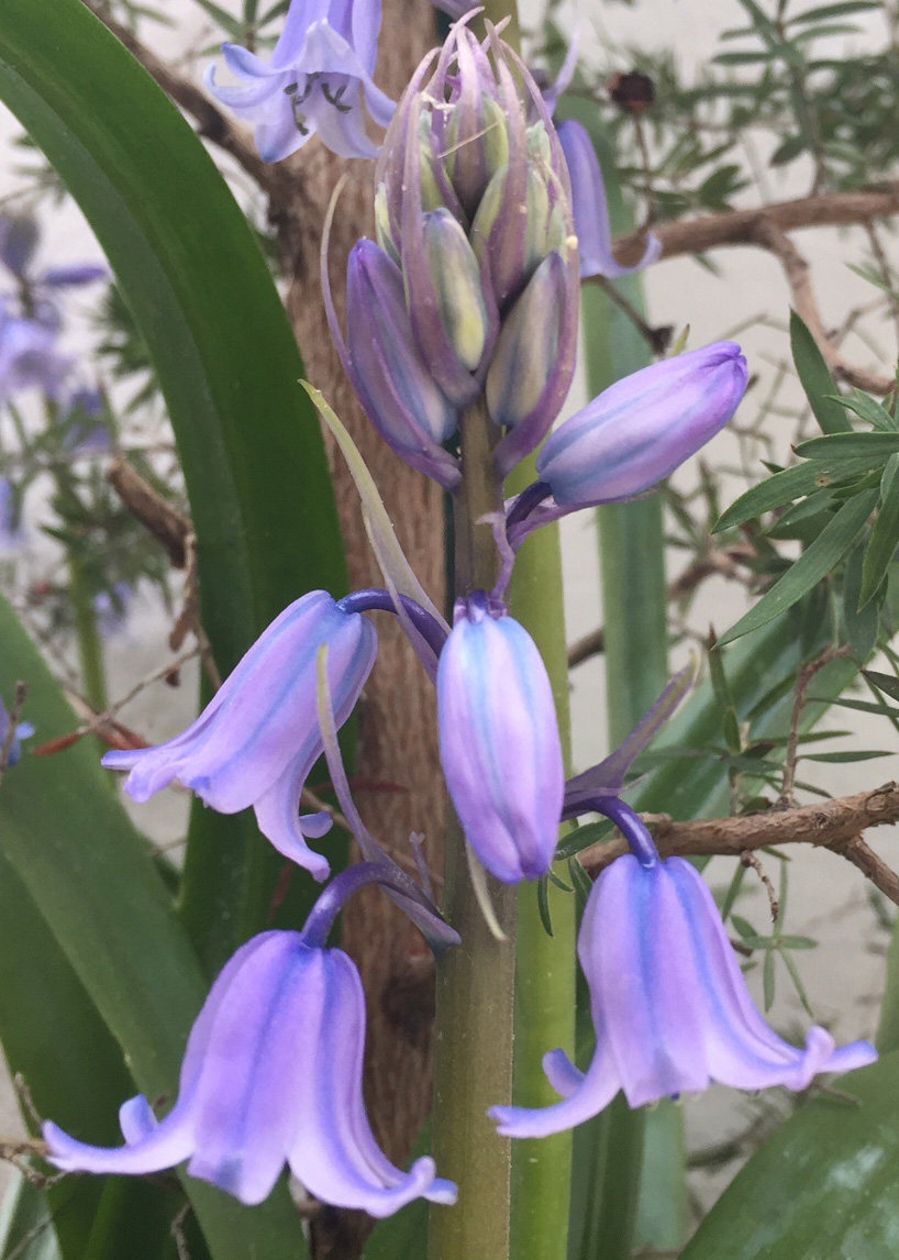 Annexe IMG_2049_1.jpg