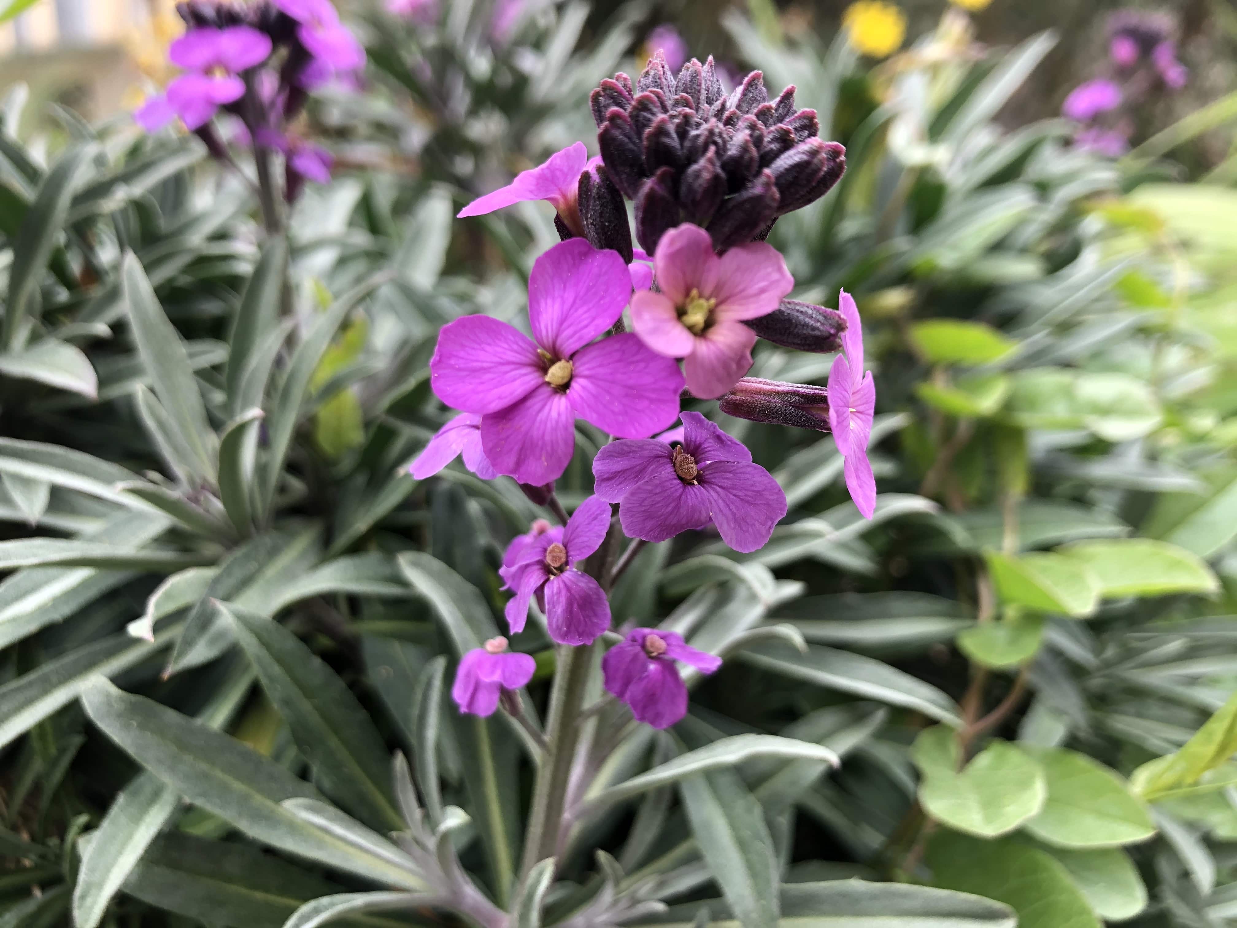 Annexe IMG_0438-min.JPG