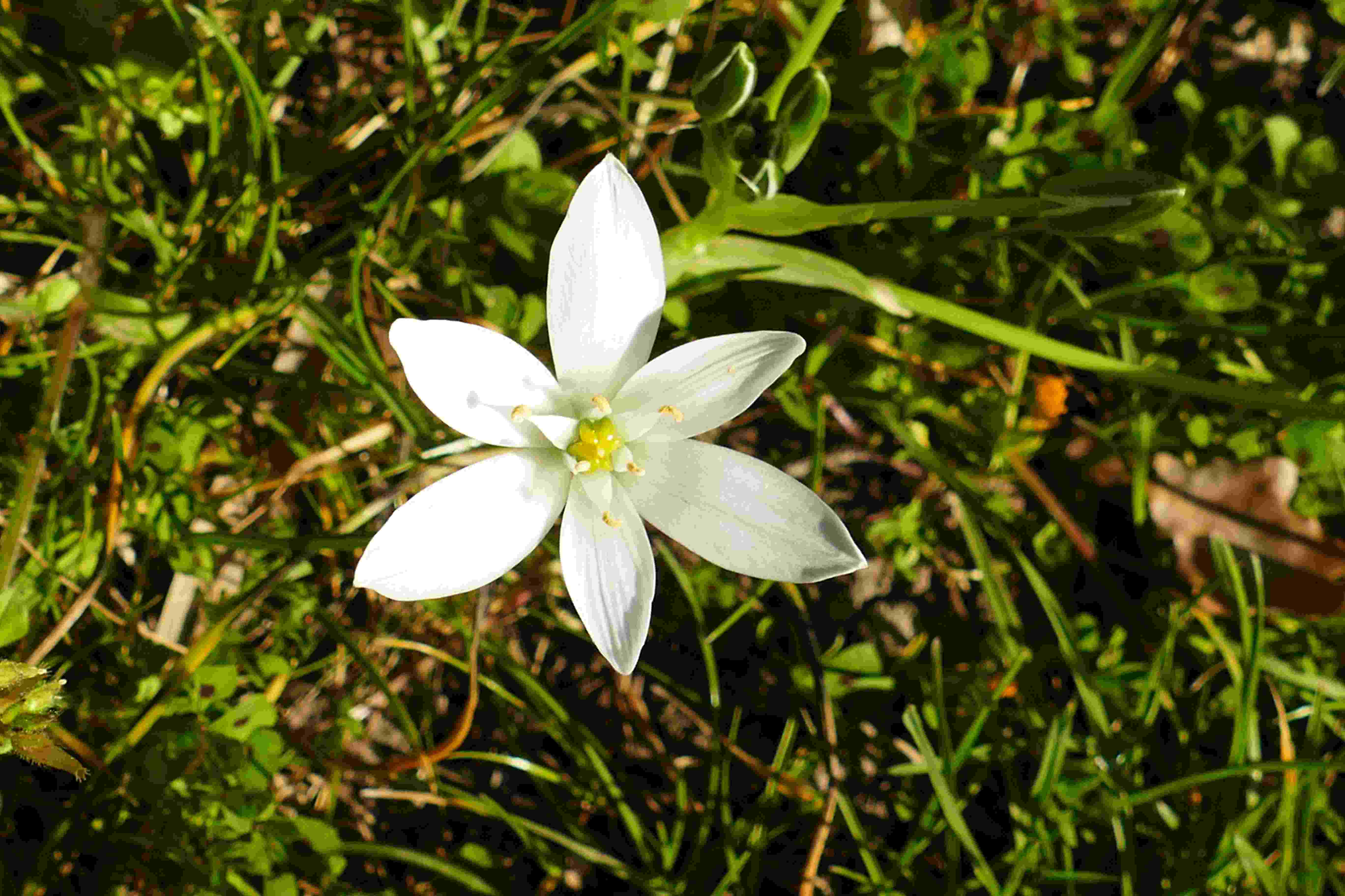 Annexe P1090085modifié.JPG