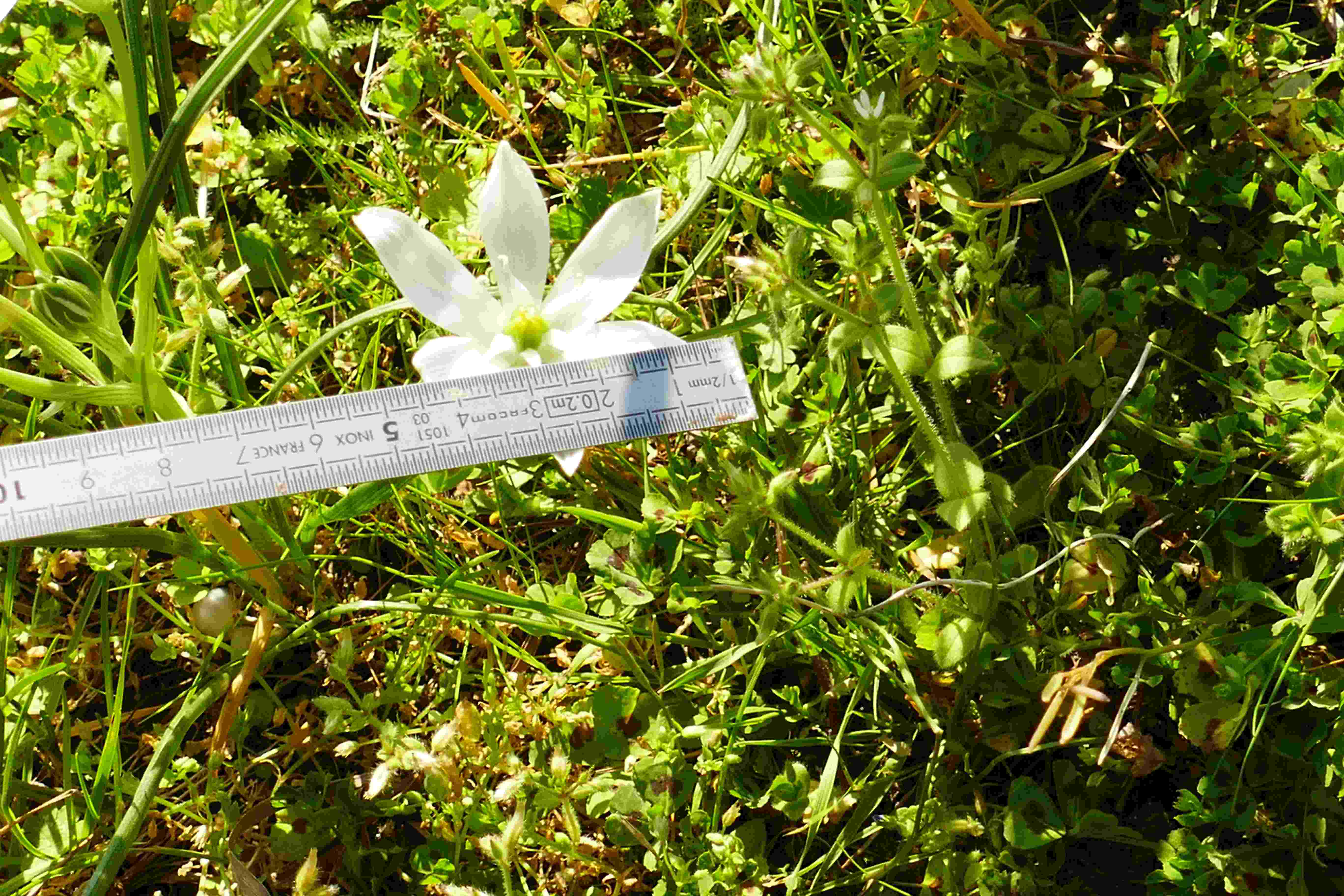 Annexe P1090106modifié.JPG