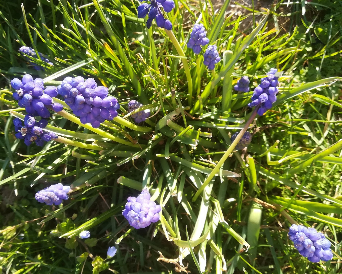 Annexe IMG_202004.jpg