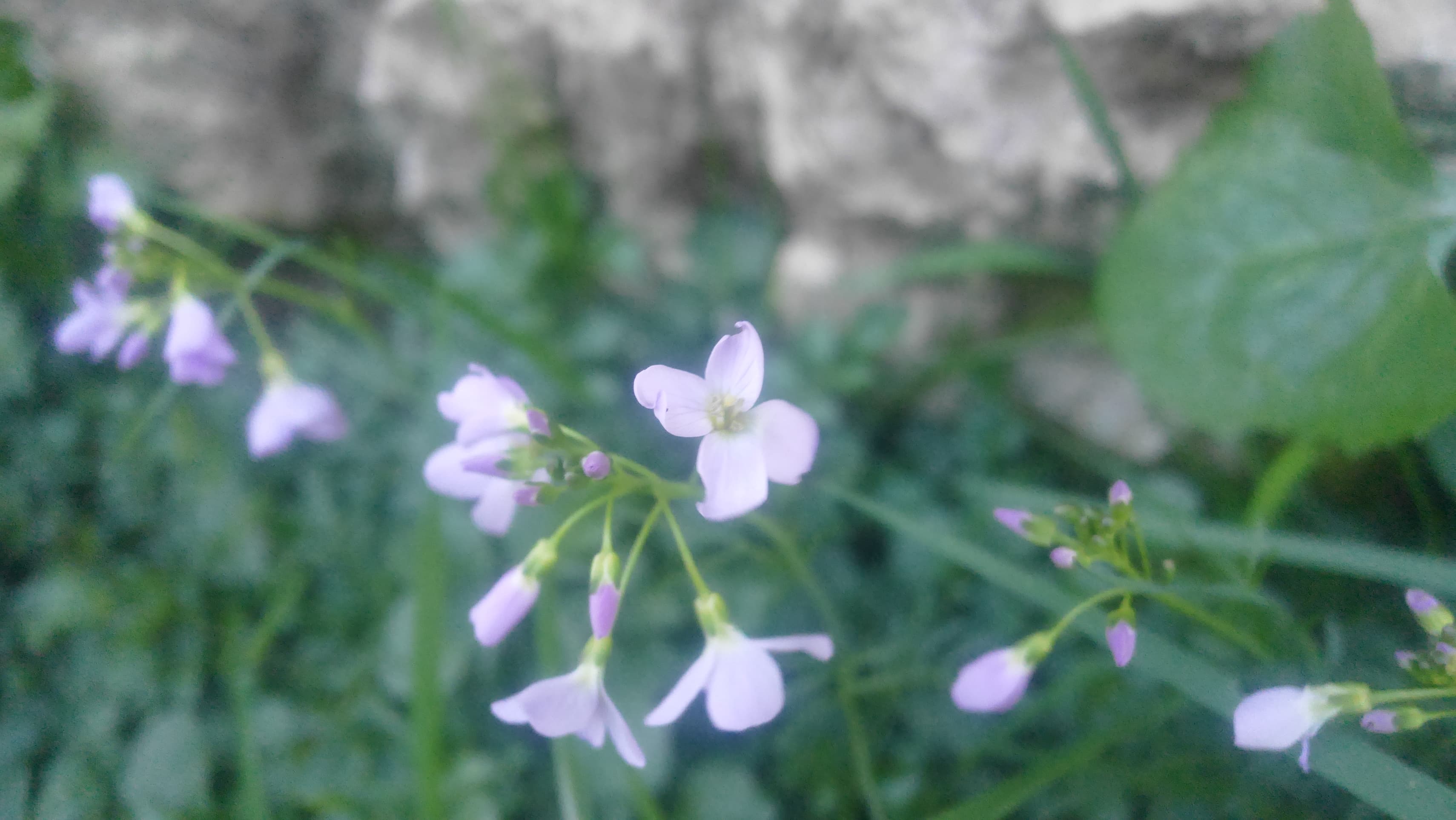 Annexe 91344263_1099190237081432_467298497708687360_n(1).jpg