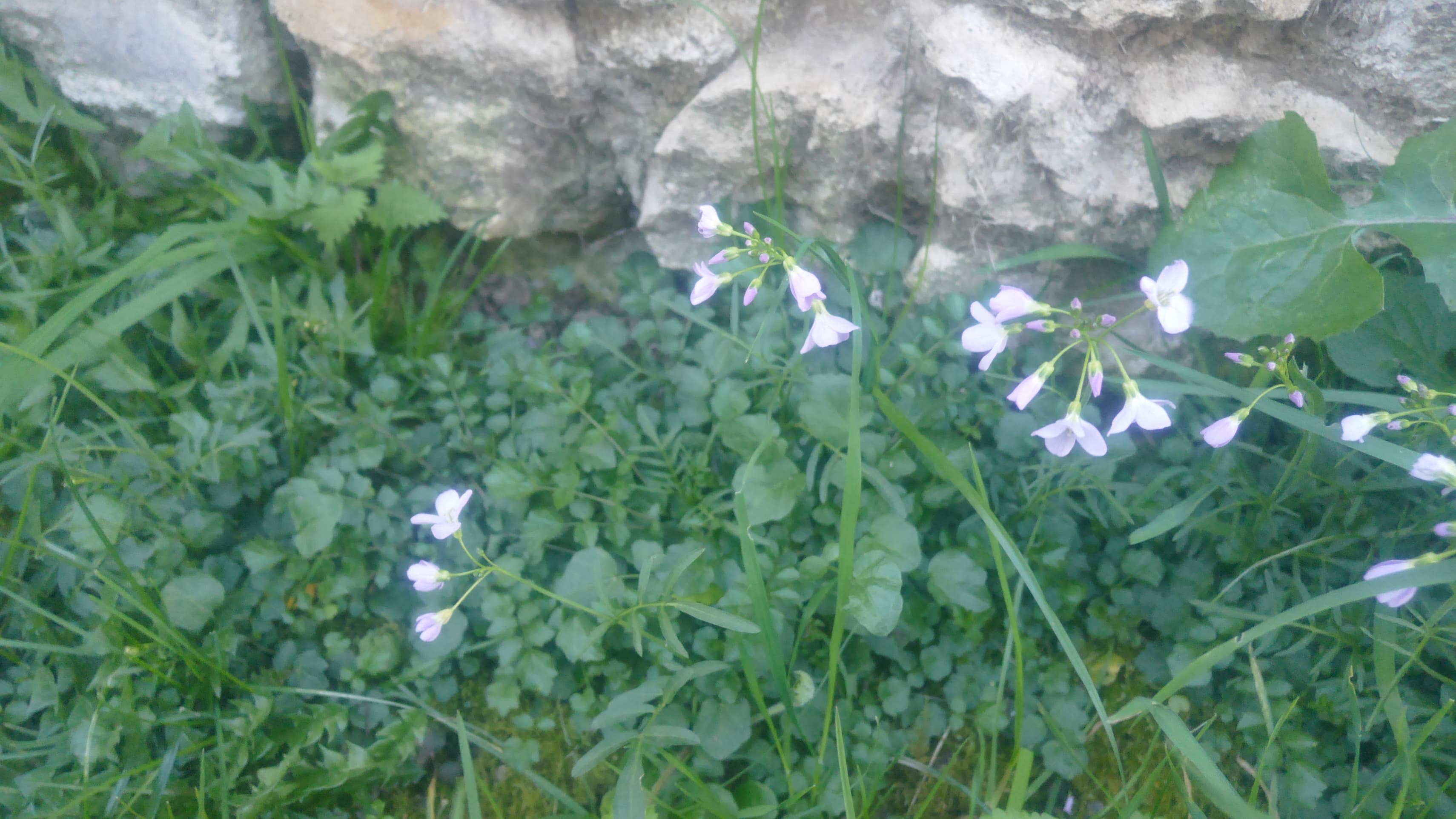 Annexe 91884653_216830419419834_6995278784786071552_n(1).jpg