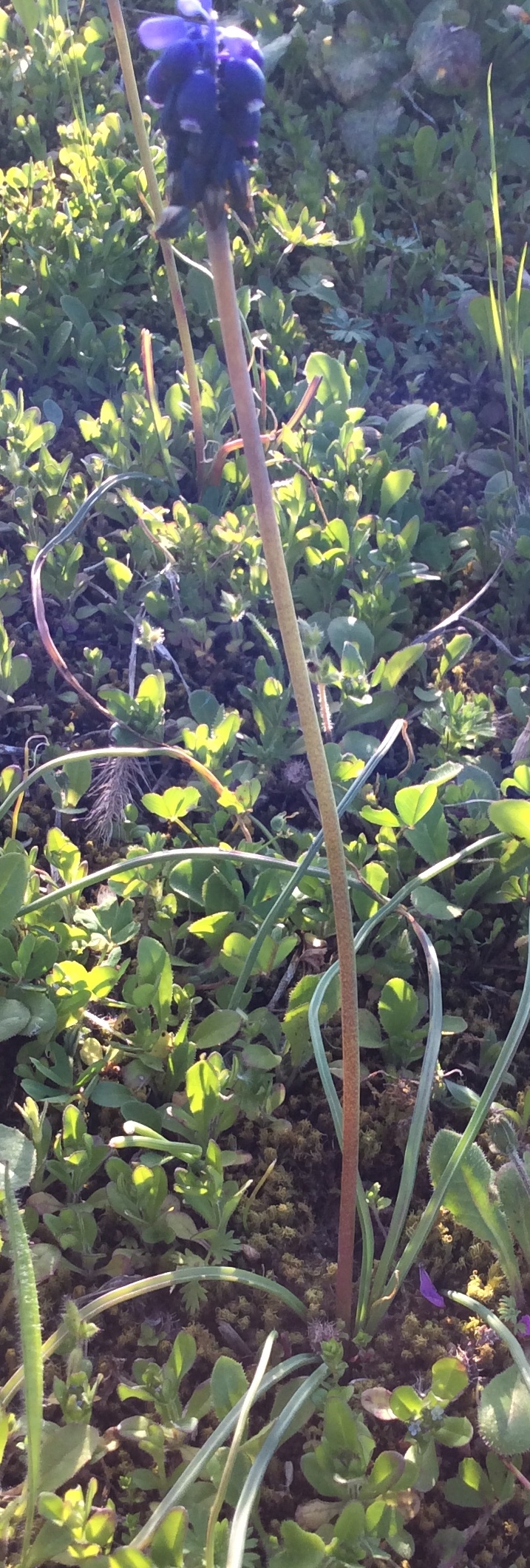 Annexe Vue d’ensemble.jpeg