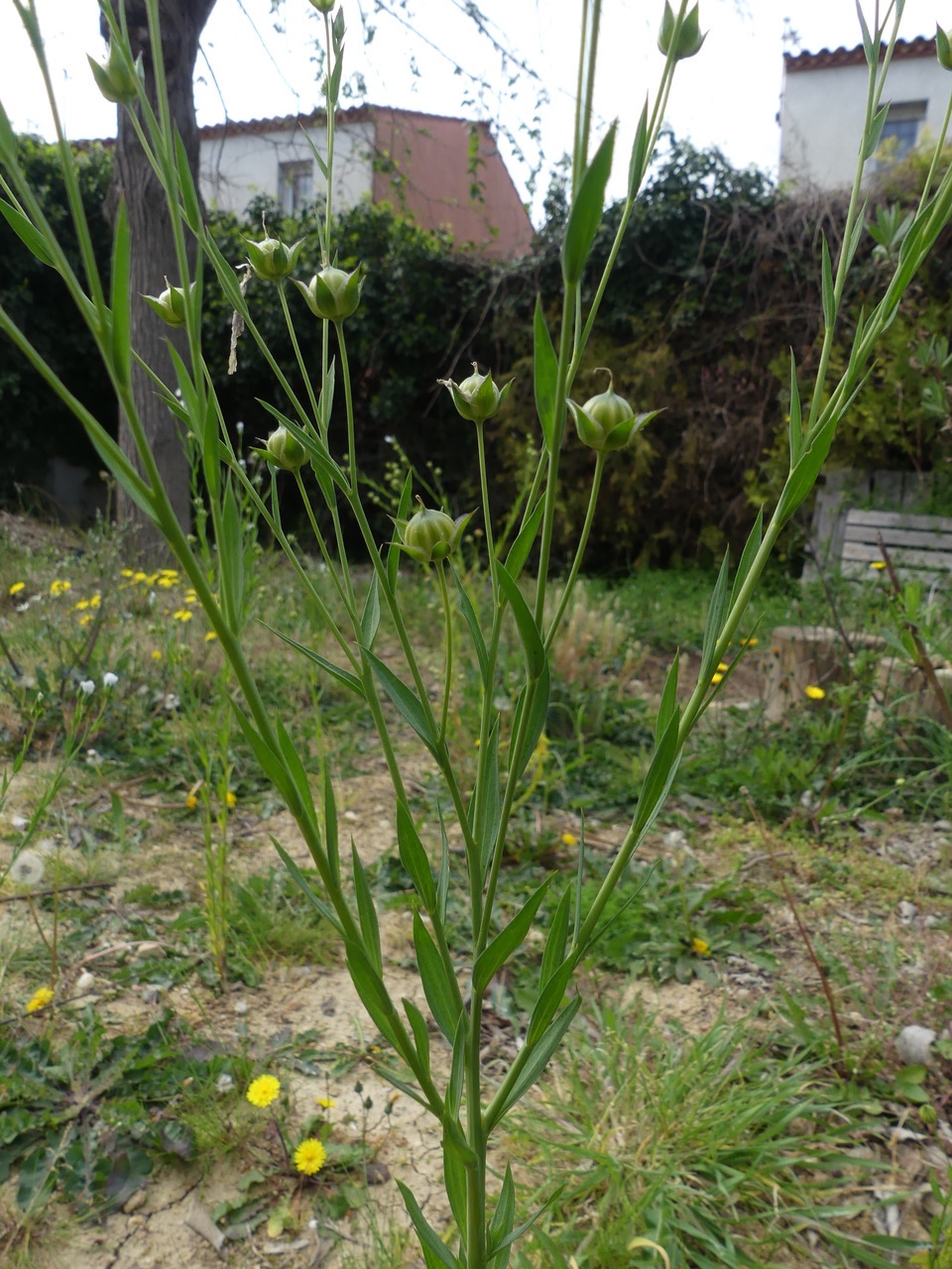 Annexe P1060852.jpeg