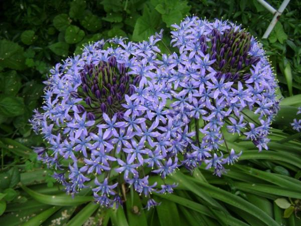 Annexe Fichiers récents.JPG