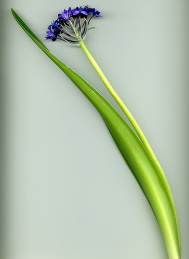 Annexe Fichiers récents.jpg