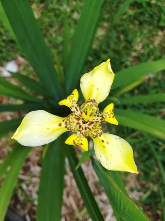 Annexe received_228807625149883.jpeg