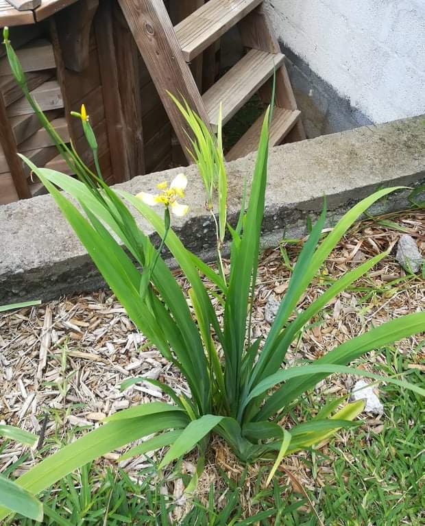 Annexe received_499225287628406.jpeg