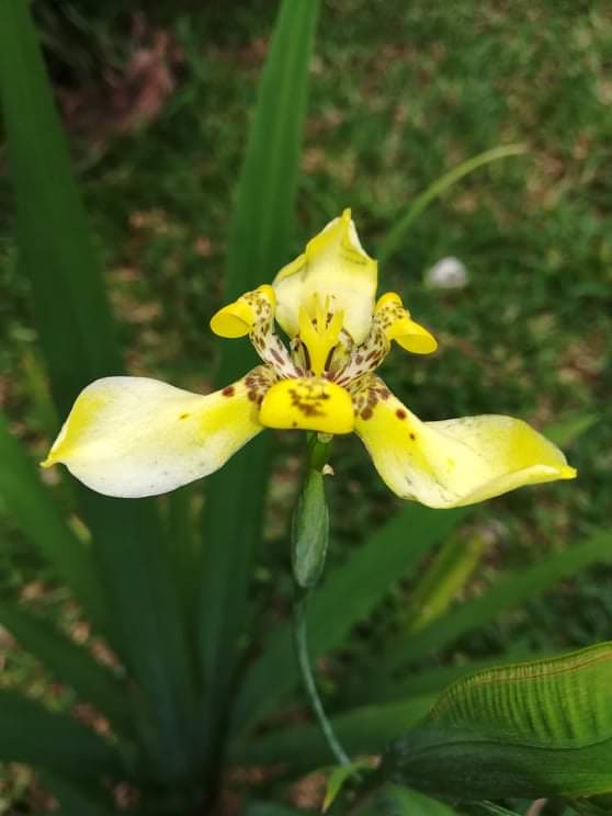 Annexe received_525993771438663.jpeg