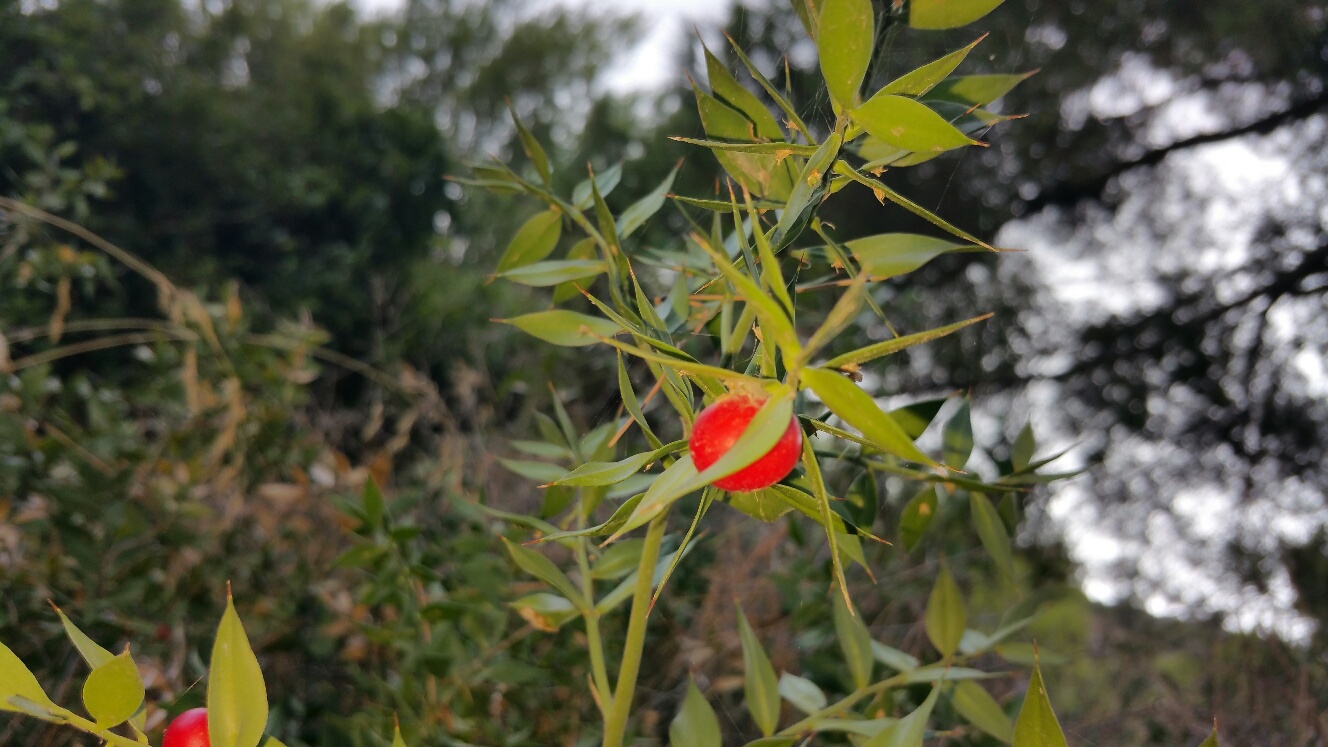 Annexe 20161002_171037_resized.jpg