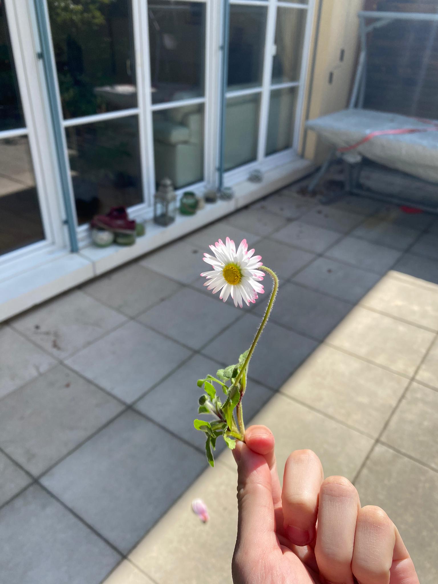 Annexe WhatsApp Image 2020-04-02 at 15.21.05.jpeg