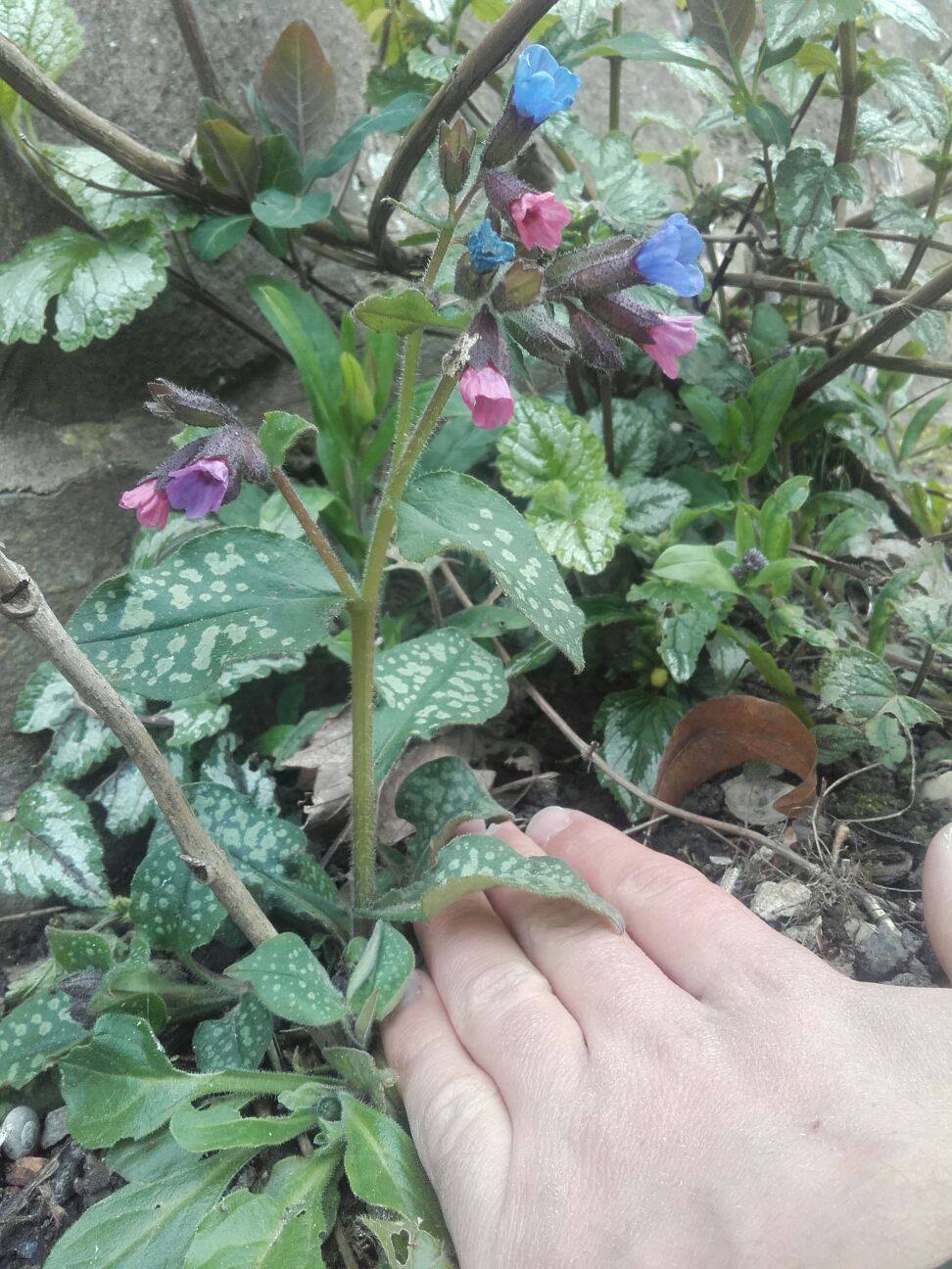 Annexe 91604391_2260855900890399_6663765544996438016_n.jpg