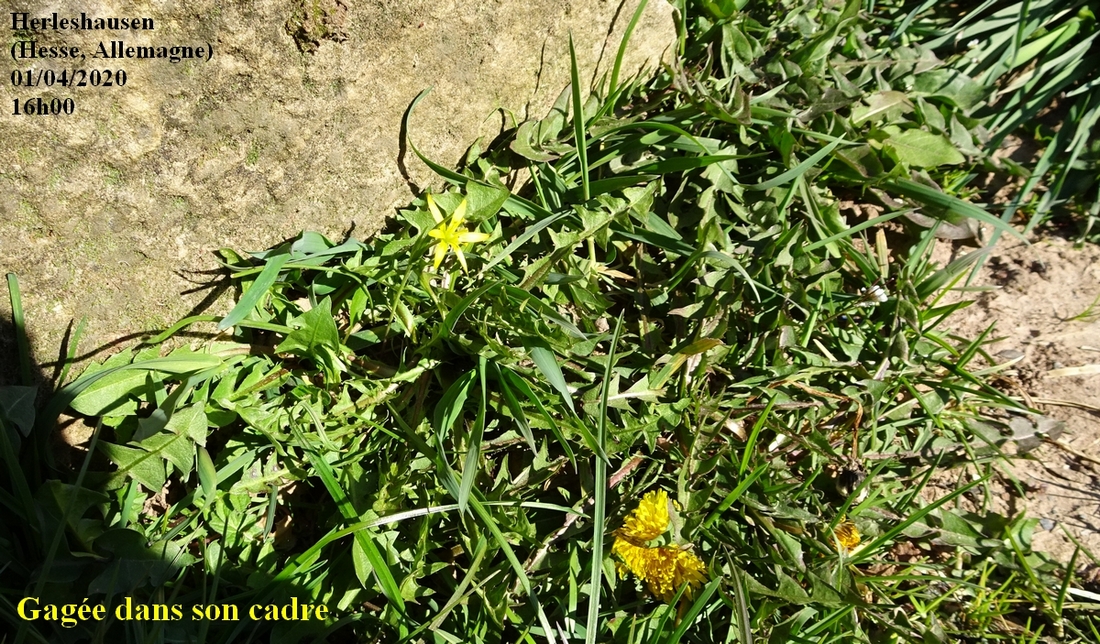 Annexe 1-Gagée-JLP.JPG