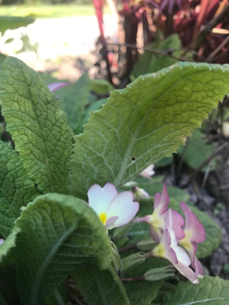 Annexe 58bcf71b-9e06-4997-b192-3c6177ca6142.jpg