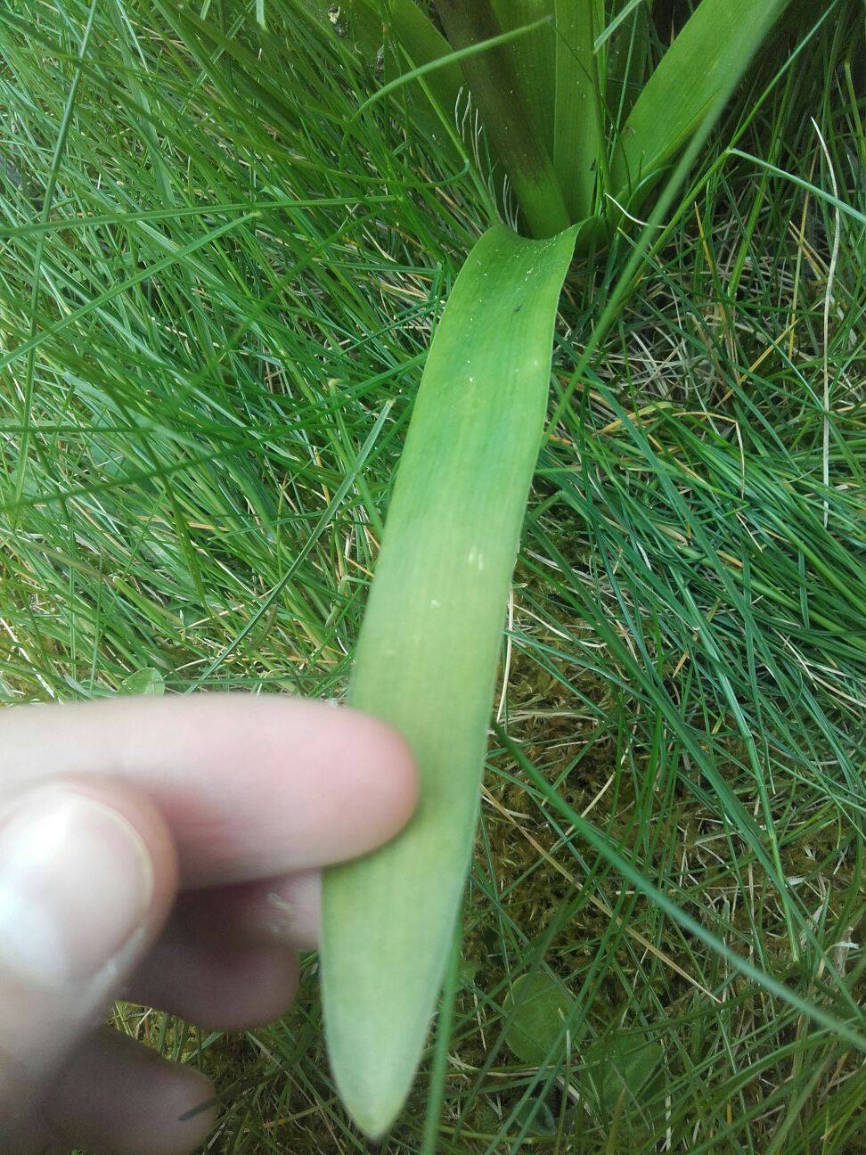 Annexe 91540020_160235371848238_9081595995342503936_n (1).jpg