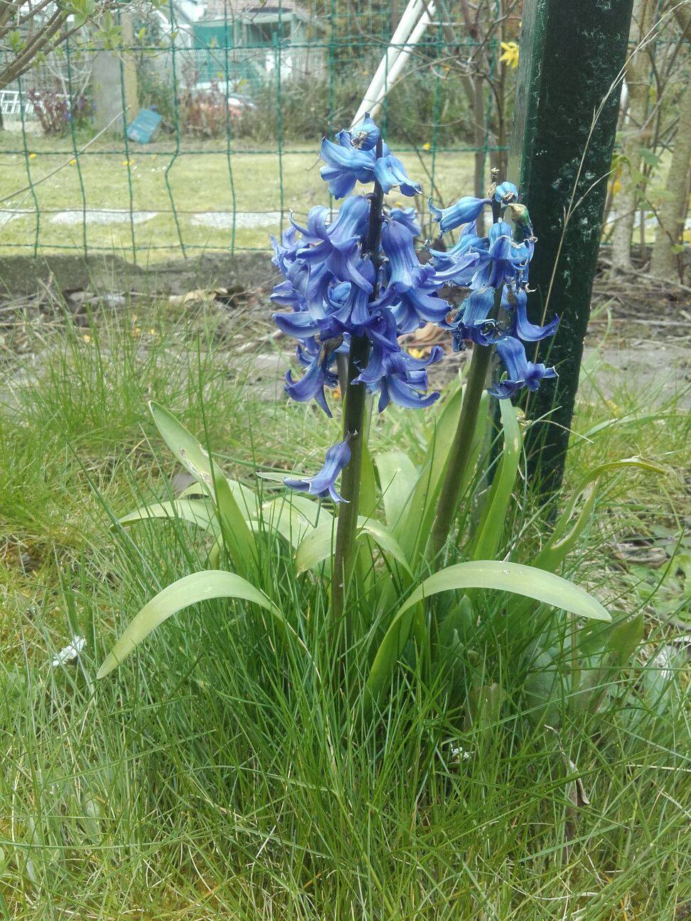 Annexe 91598235_759803224553226_4849601784714362880_n.jpg