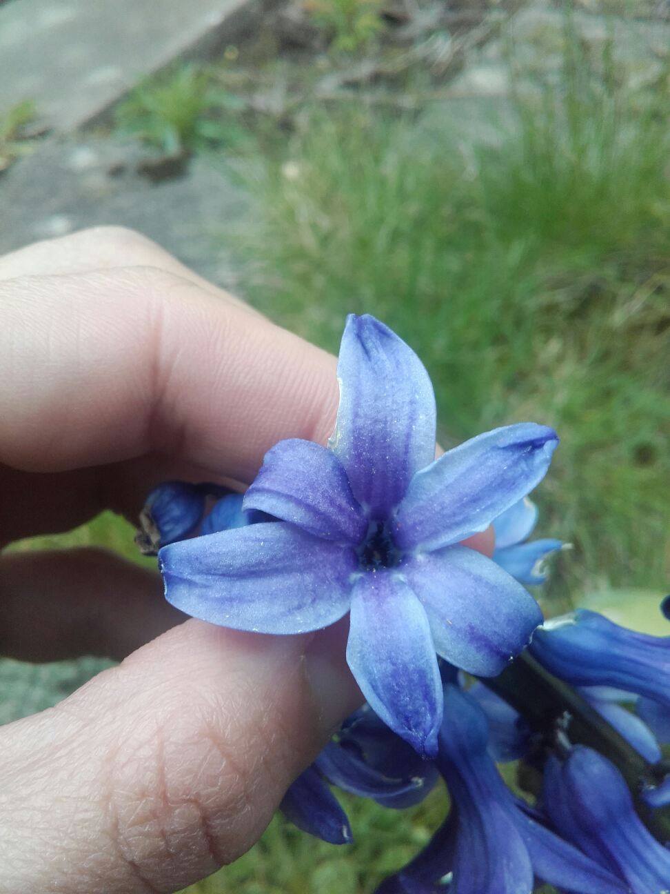 Annexe 91817466_1594052287402521_4202444938710876160_n.jpg